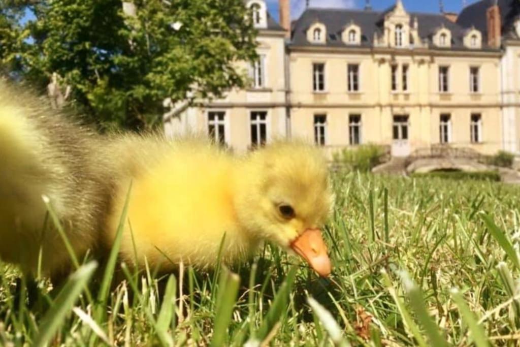 Maison A Colombages Pres De Deauville, Trouville Formentin Luaran gambar