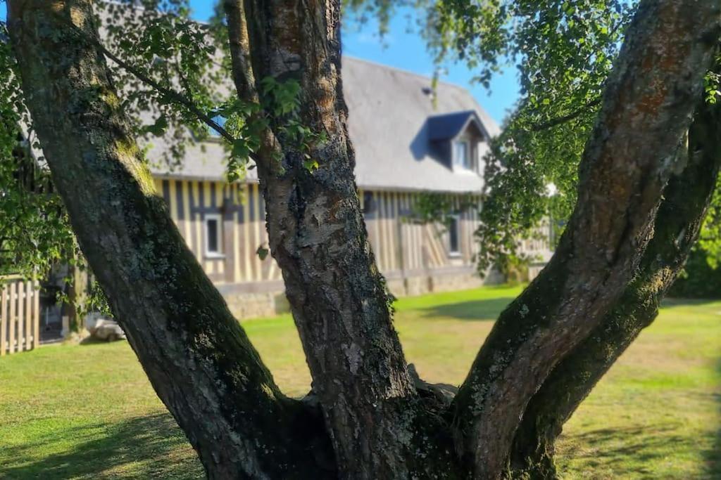 Maison A Colombages Pres De Deauville, Trouville Formentin Luaran gambar